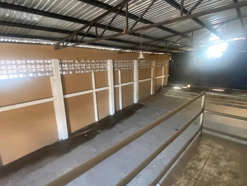 Alquiler De Bodega En Anillo Periférico, Frente a Larach - Tegucigalpa 080100813