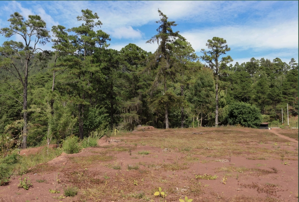 Venta De Terreno En Villa Los Pinares Santa Lucia - Santa Lucia 082300210