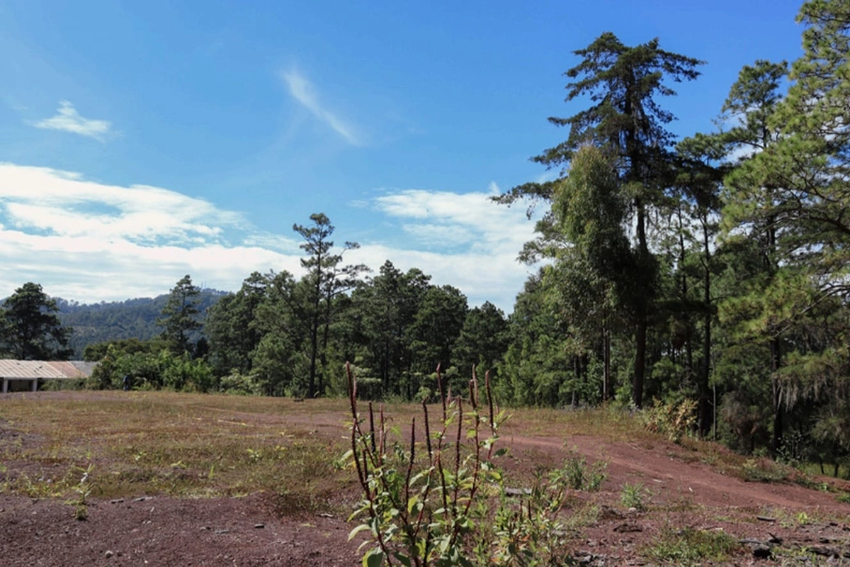 Venta De Terreno En Villa Los Pinares Santa Lucia - Santa Lucia 082300208